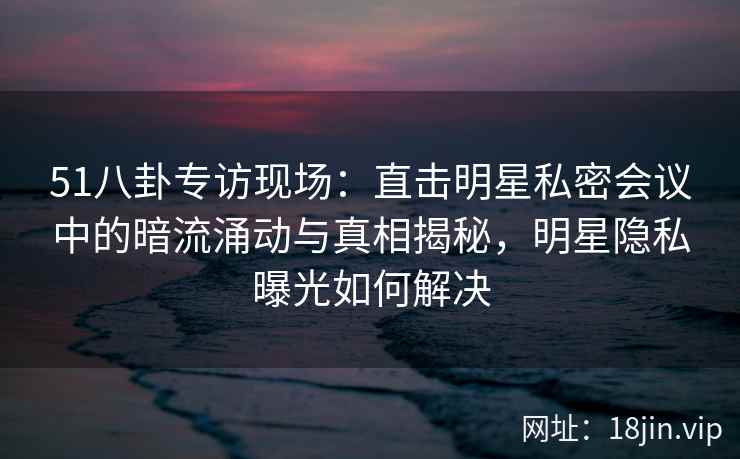 51八卦专访现场：直击明星私密会议中的暗流涌动与真相揭秘，明星隐私曝光如何解决