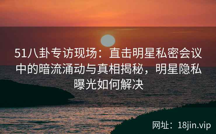 51八卦专访现场：直击明星私密会议中的暗流涌动与真相揭秘，明星隐私曝光如何解决
