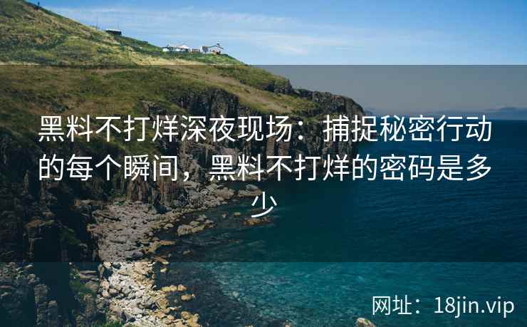 黑料不打烊深夜现场：捕捉秘密行动的每个瞬间，黑料不打烊的密码是多少