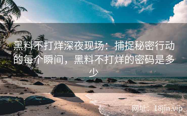 黑料不打烊深夜现场：捕捉秘密行动的每个瞬间，黑料不打烊的密码是多少