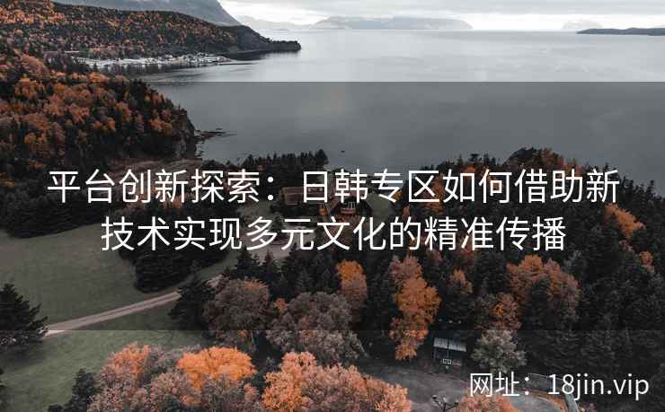 平台创新探索：日韩专区如何借助新技术实现多元文化的精准传播